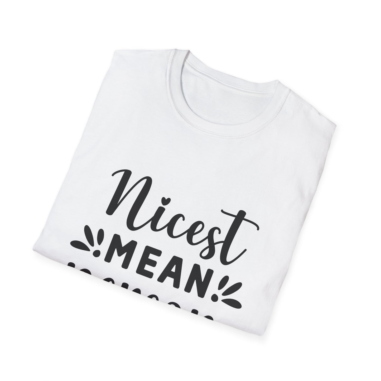 Nicest Mean Person Ever Tee