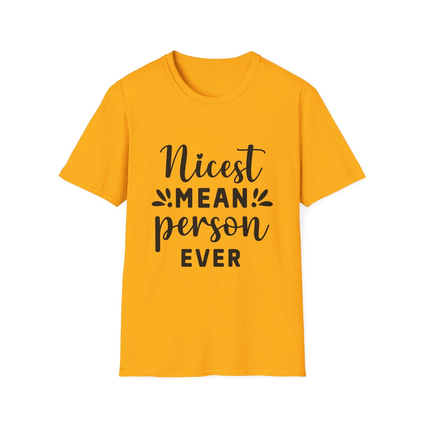 Nicest Mean Person Ever Tee