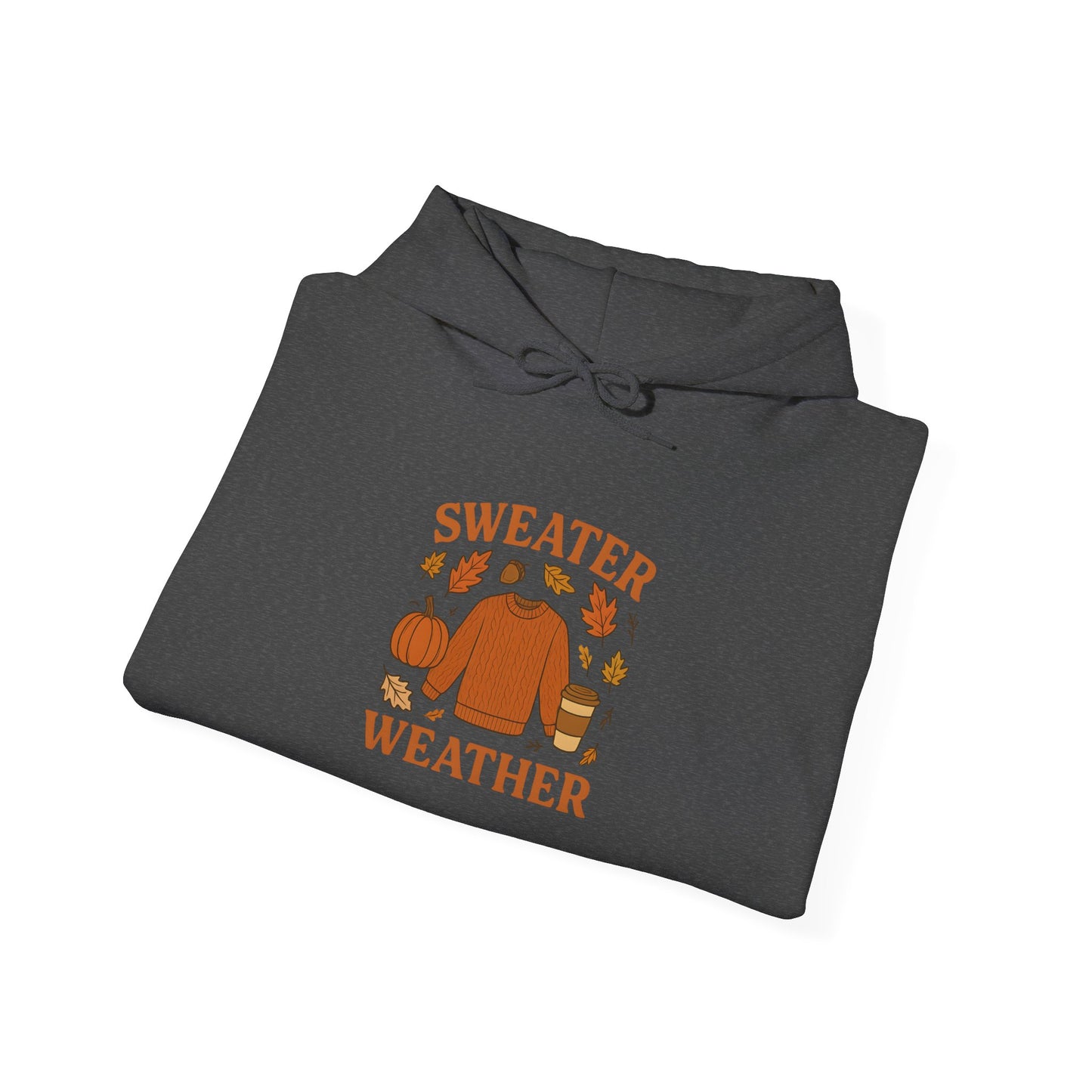 Sweater Weather Hoodie