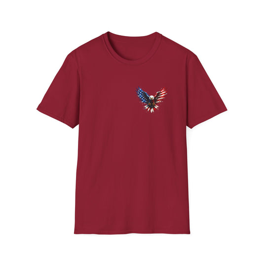 American Eagle 250 Years Tee