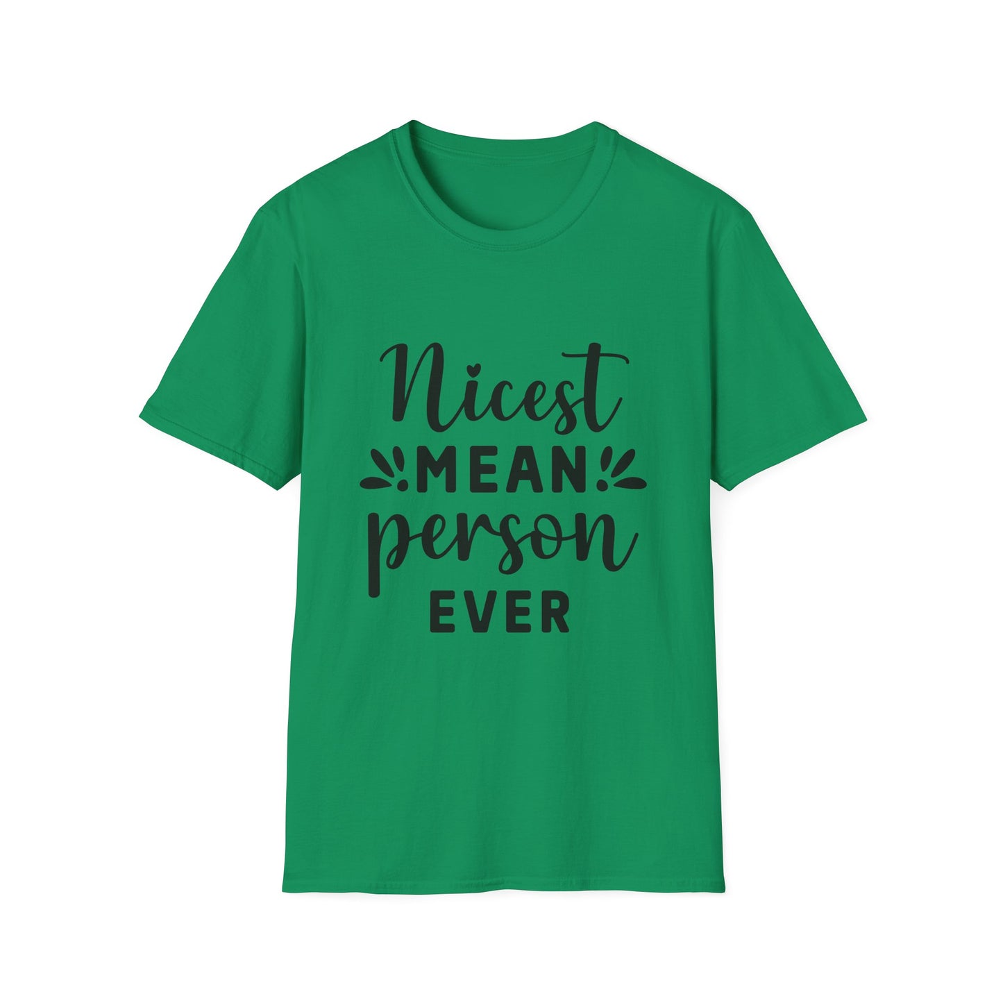 Nicest Mean Person Ever Tee