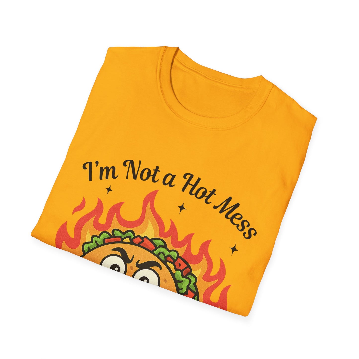 Hot Mess/Spicy Disaster Taco Tee