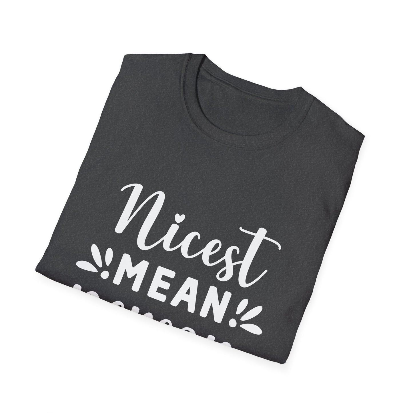 Nicest Mean Person Ever Tee