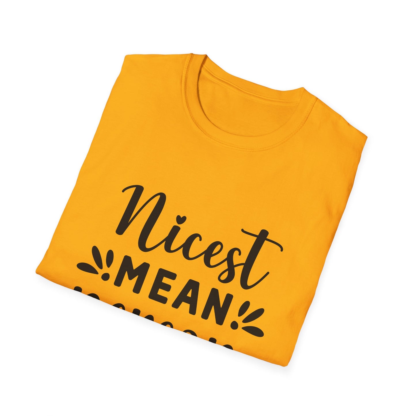 Nicest Mean Person Ever Tee