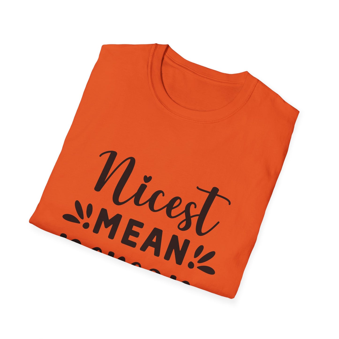 Nicest Mean Person Ever Tee