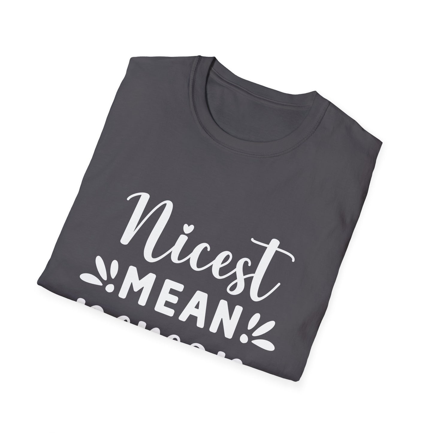 Nicest Mean Person Ever Tee